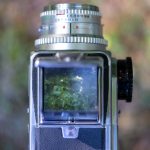 大家乐娱乐app评测:让你在指尖享受无限娱乐时光 0seyw32a