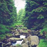 狮子会:探索全球慈善组织的影响力与使命 69q011oe8f