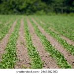 如何在vwin娱乐投注中实现盈利与风险控制技巧 k2cxg4u