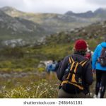 如何在ca88网页版上获取最佳游戏体验与优惠 rbn99